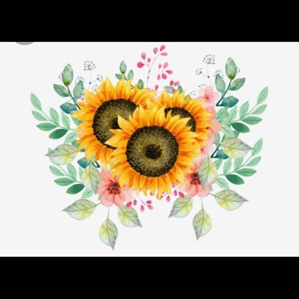 Meet your Posher, Valeria